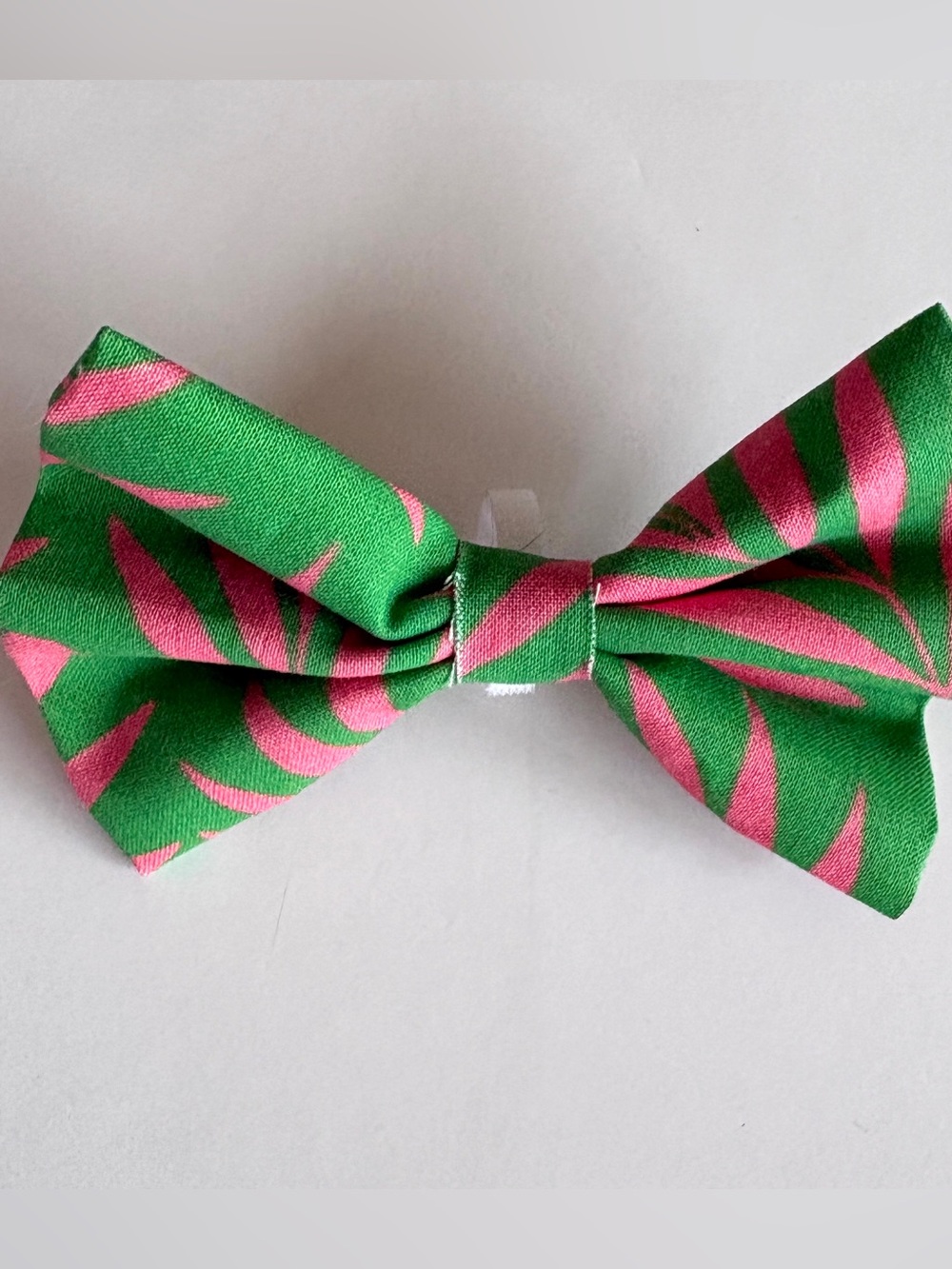 Palm Springs Dog Bow